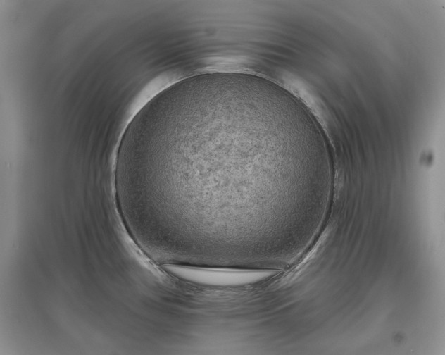 X0000097611386200803071441