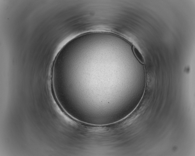 X0000097611387200803071441