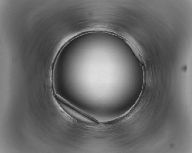 X0000097611388200803071441