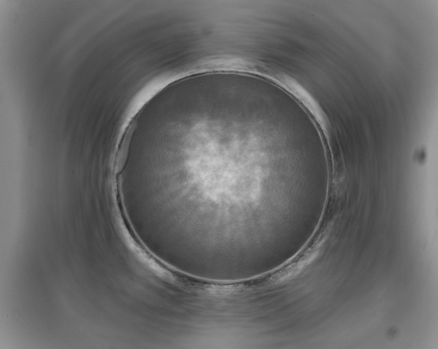 X0000097611389200803071441