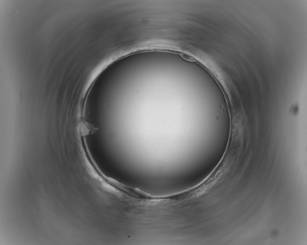 X0000097611390200803071441