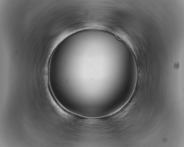 X0000097611391200803071440