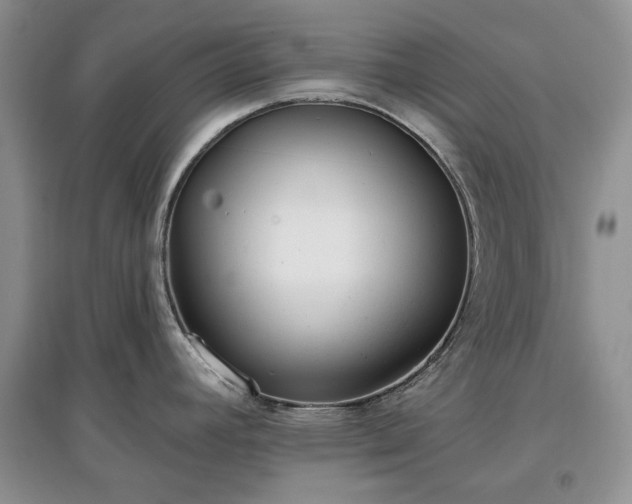 X0000097611392200803071440