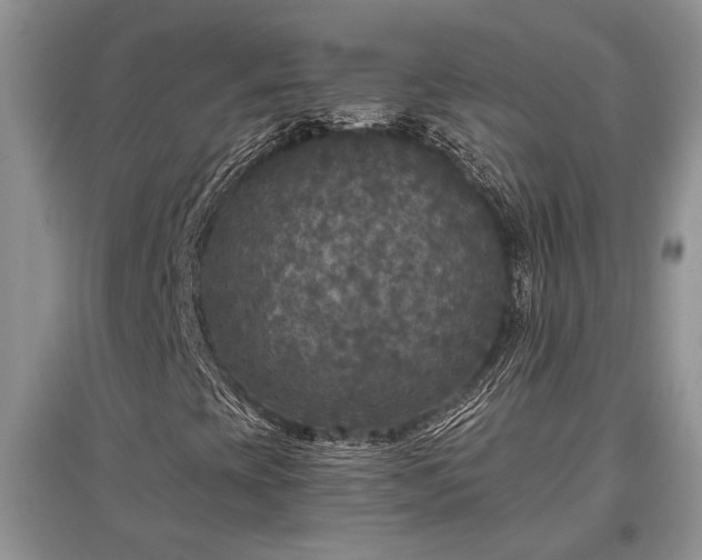 X0000097611393200803071440
