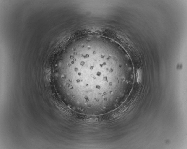 X0000097611395200803071440