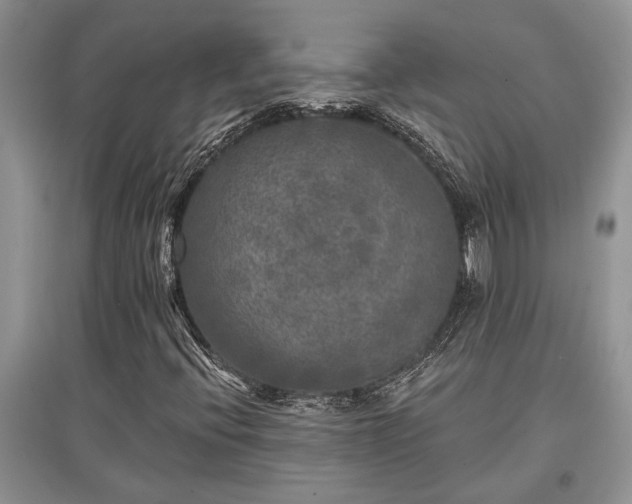 X0000097611396200803071440