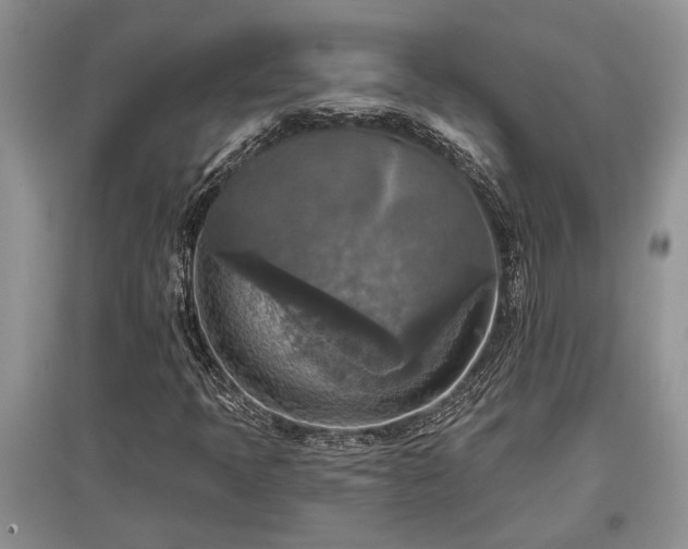 X0000097611397200803071440