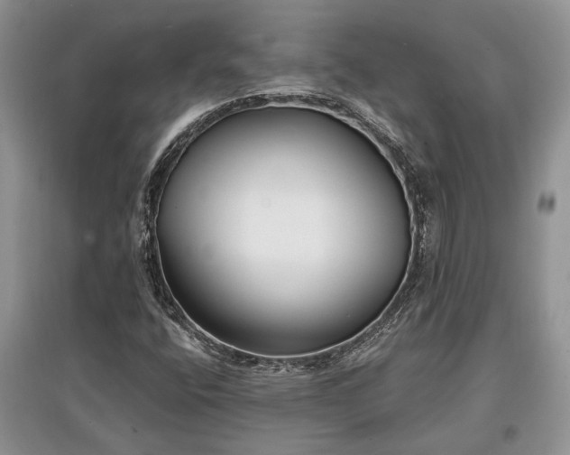 X0000097611400200803071440