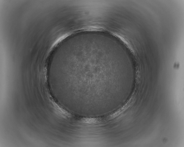X0000097611402200803071440