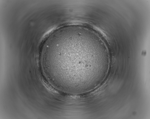 X0000097611403200803071440