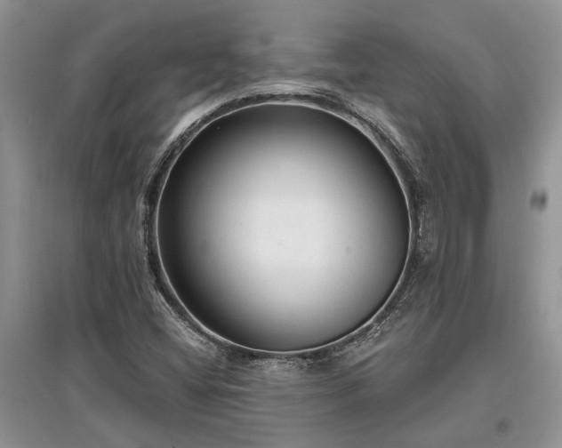 X0000097611404200803071440