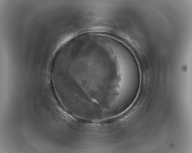 X0000097611405200803071440