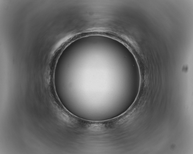 X0000097611406200803071440