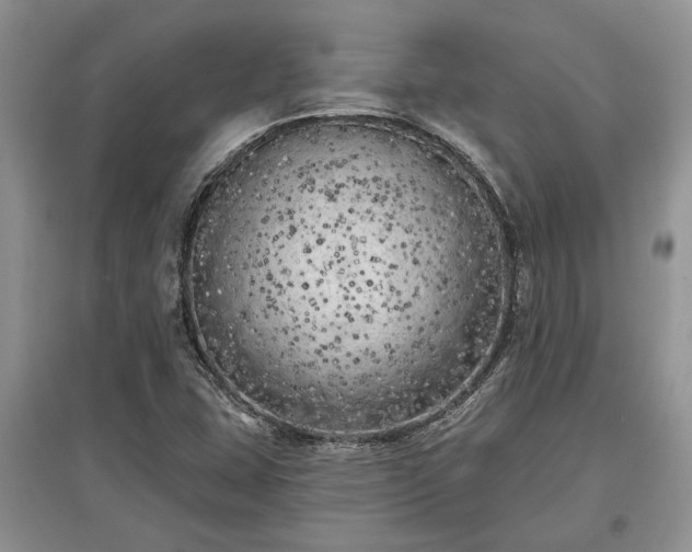 X0000097611407200803071440