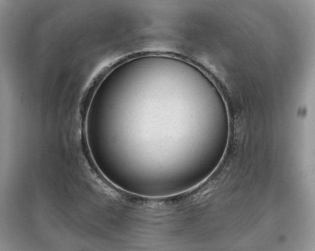 X0000097611408200803071440