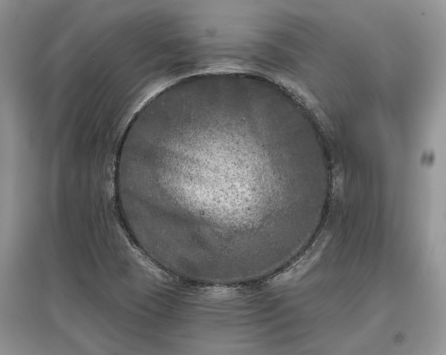 X0000097611409200803071440