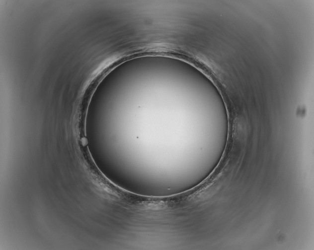 X0000097611410200803071440