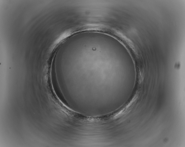 X0000097611411200803071440