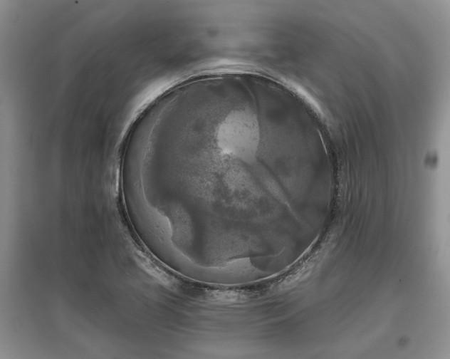 X0000097611413200803071440