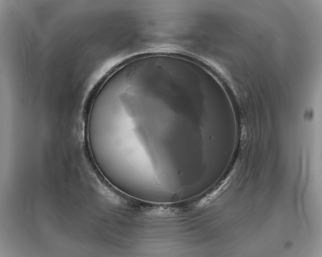 X0000097611414200803071440