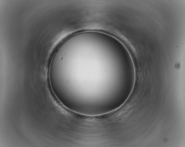 X0000097611416200803071440