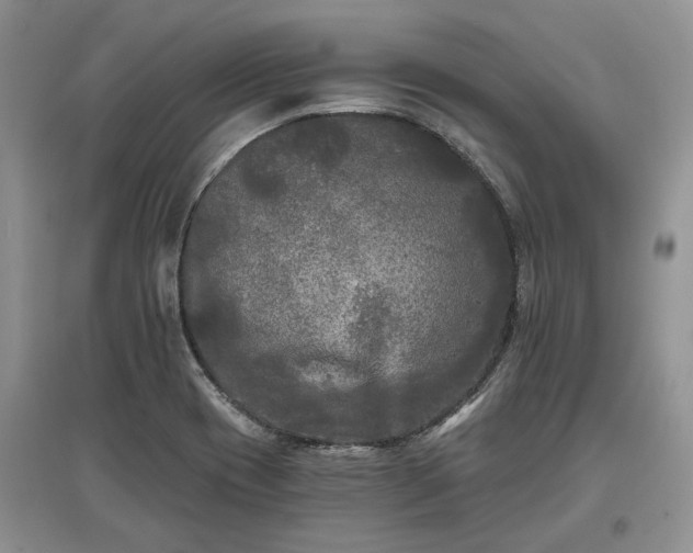 X0000097611417200803071440