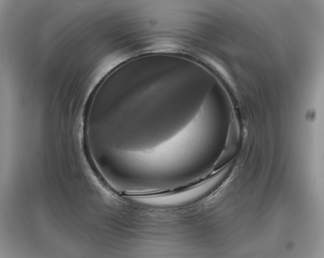 X0000097611418200803071440