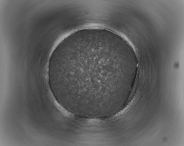 X0000097611421200803071440