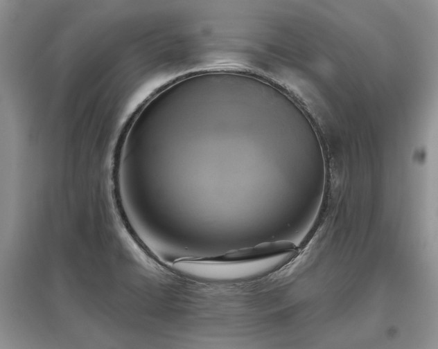 X0000097611422200803071440