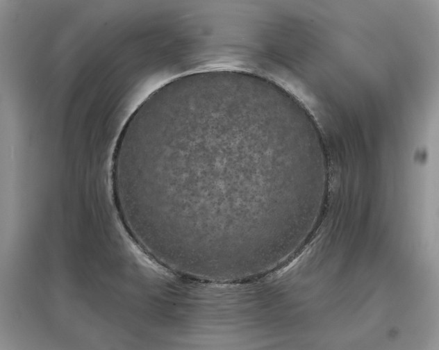 X0000097611423200803071440