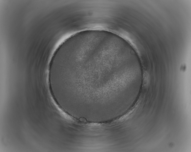 X0000097611424200803071440
