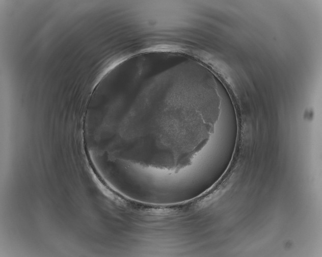 X0000097611425200803071440