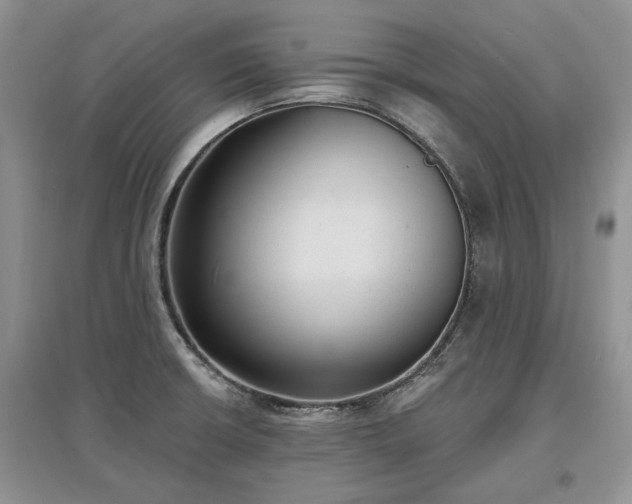 X0000097611426200803071440