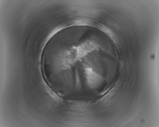 X0000097611427200803071440