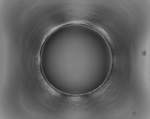X0000097611428200803071440