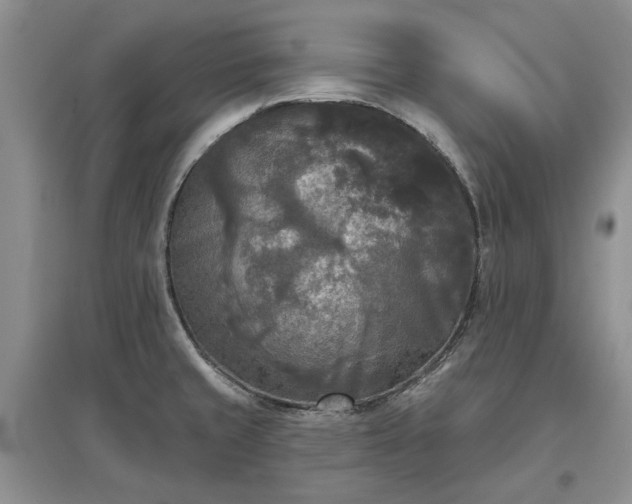 X0000097611429200803071440