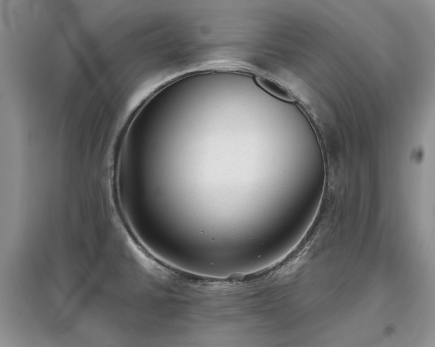 X0000097611430200803071440