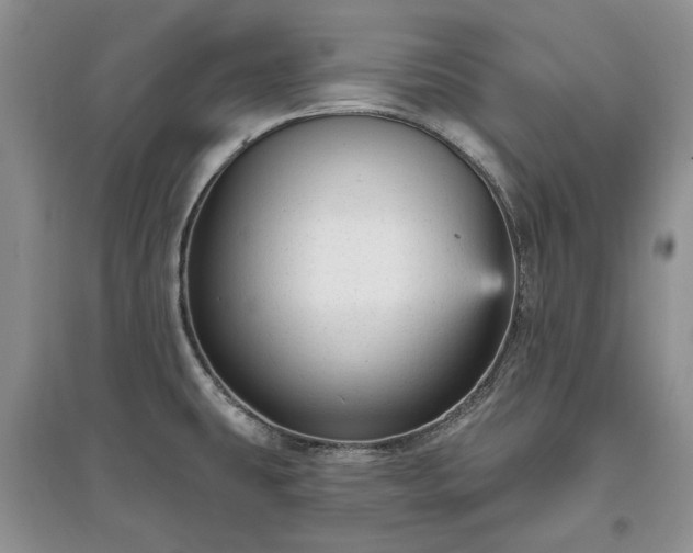 X0000097611431200803071440