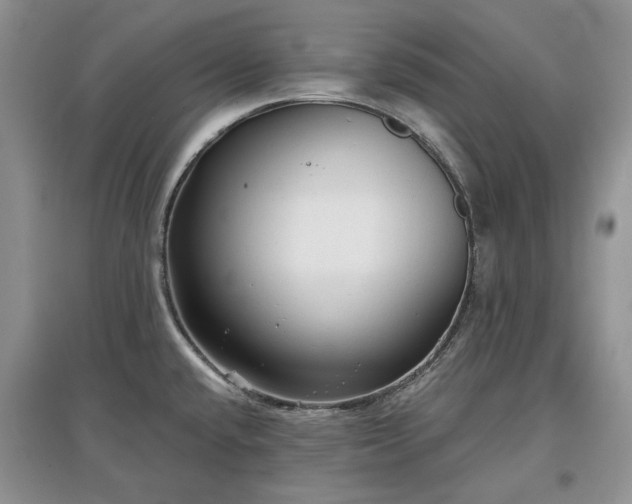 X0000097611432200803071440