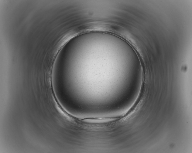 X0000097611433200803071440