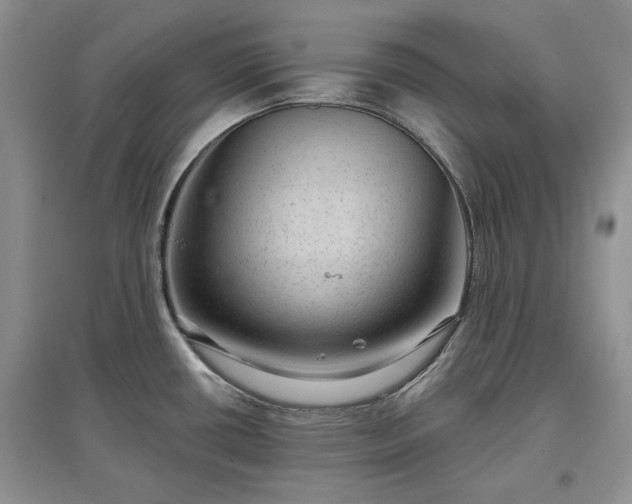 X0000097611434200803071440