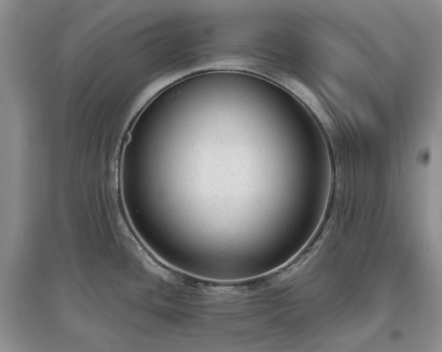X0000097611436200803071440