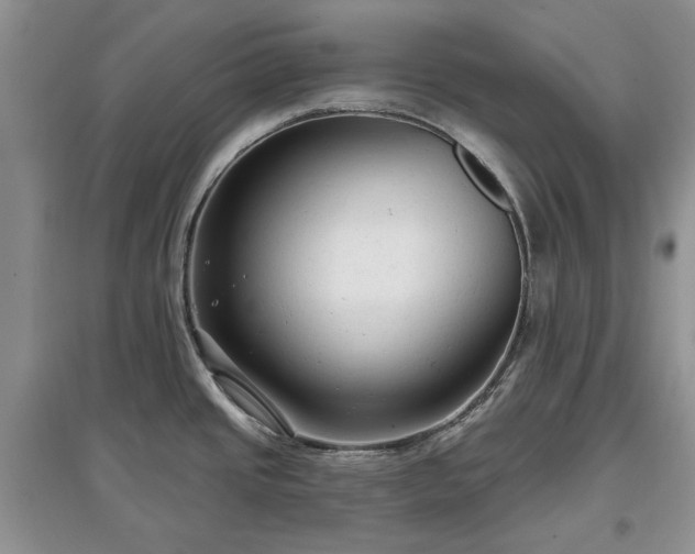 X0000097611437200803071440