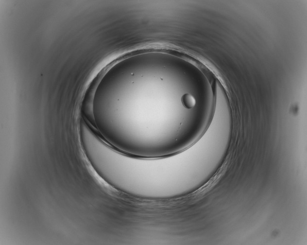 X0000097611438200803071440