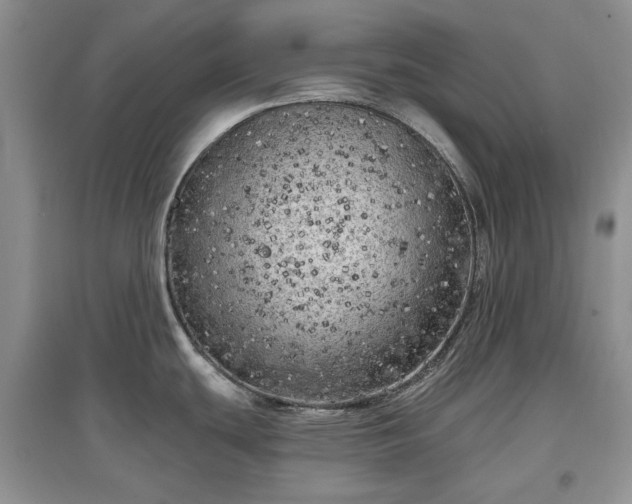 X0000097611439200803071440