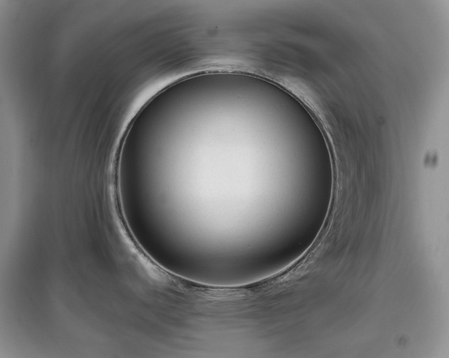 X0000097611440200803071440