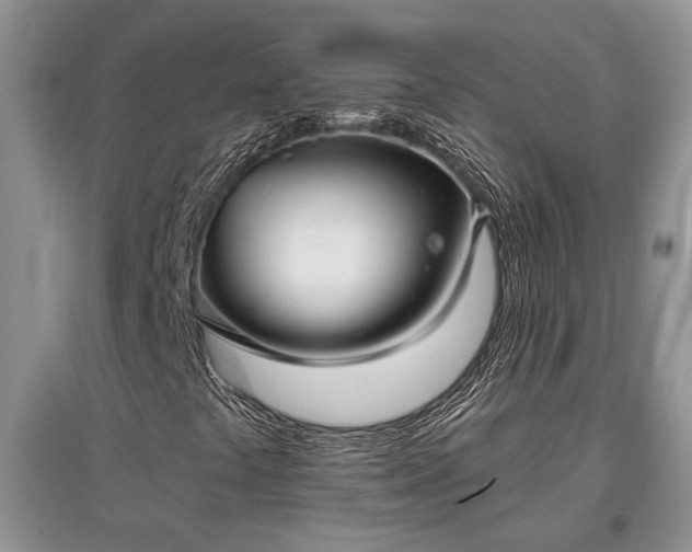 X0000097611441200803071440