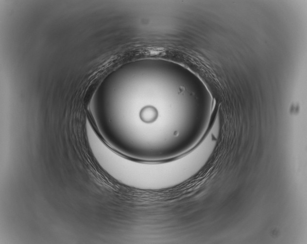 X0000097611442200803071440