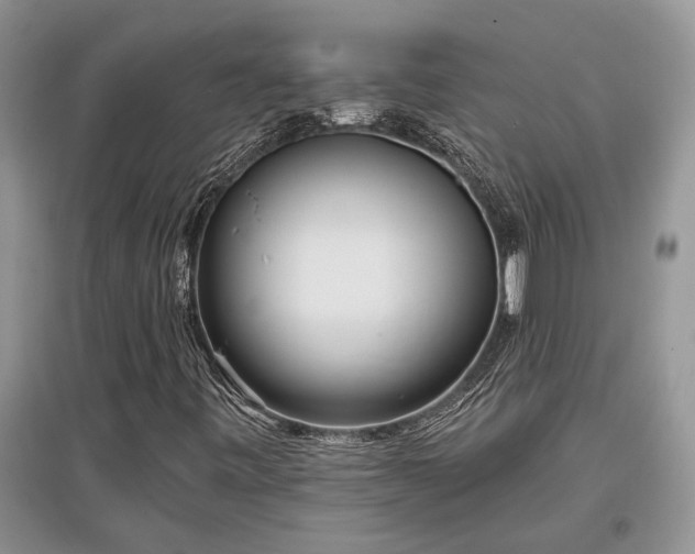 X0000097611443200803071440
