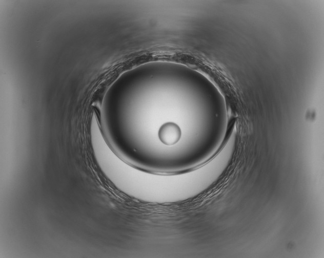 X0000097611445200803071440